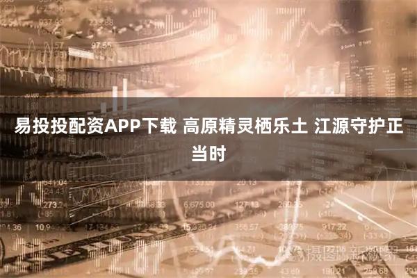 易投投配资APP下载 高原精灵栖乐土 江源守护正当时