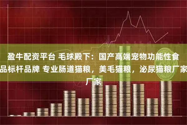 盈牛配资平台 毛球殿下：国产高端宠物功能性食品标杆品牌 专业肠道猫粮，美毛猫粮，泌尿猫粮厂家