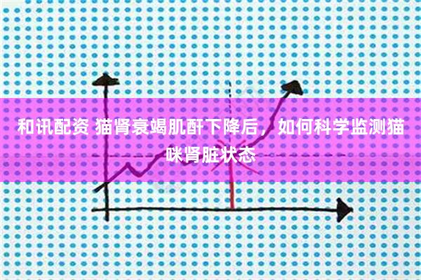 和讯配资 猫肾衰竭肌酐下降后，如何科学监测猫咪肾脏状态