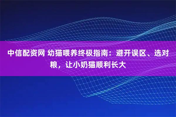 中信配资网 幼猫喂养终极指南：避开误区、选对粮，让小奶猫顺利长大